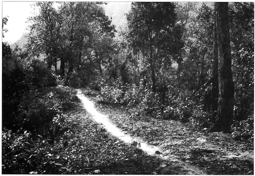 Brushed Path, A Line in Nepal, 1975.