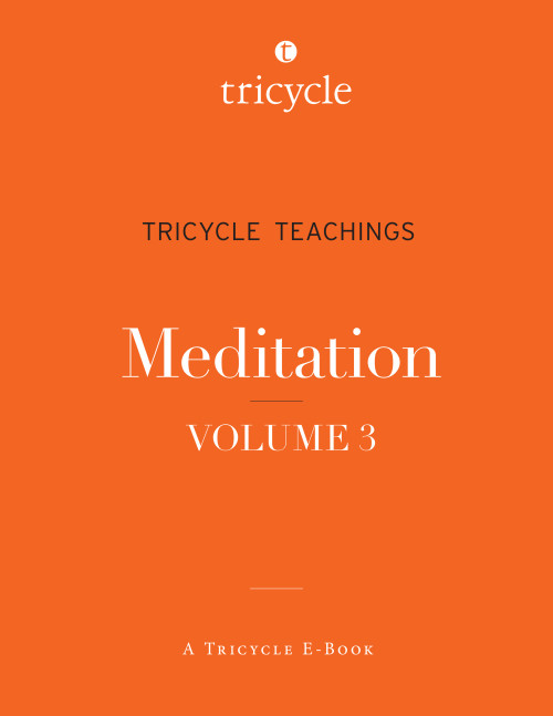 Tricycle Teachings: Meditation, vol. 3