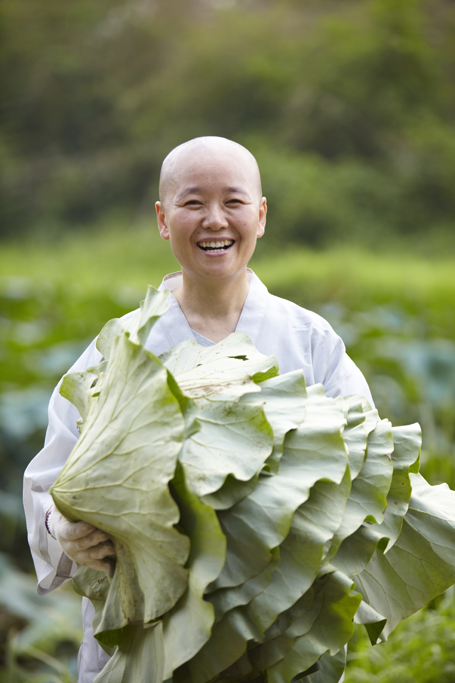 Taste 1 700 Years Of Traditional Buddhist Cooking At New York Citys