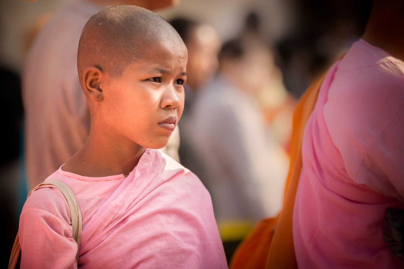 a burmese buddhist nun in pink robes