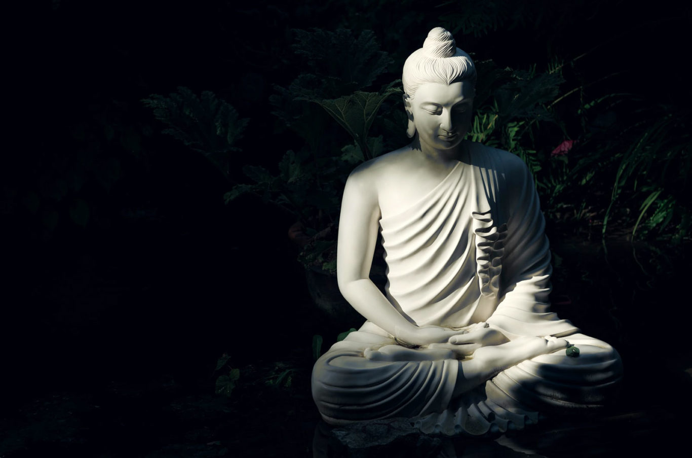 Gautama buddha clearance meaning