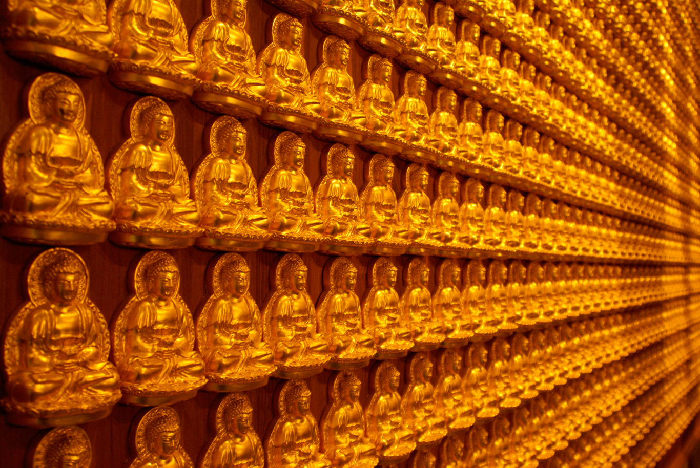a wall with many gold buddha statues