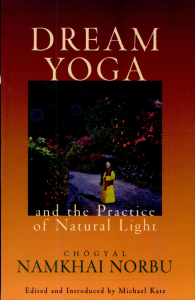 Dream Yoga and the Practices of Natural Light review
