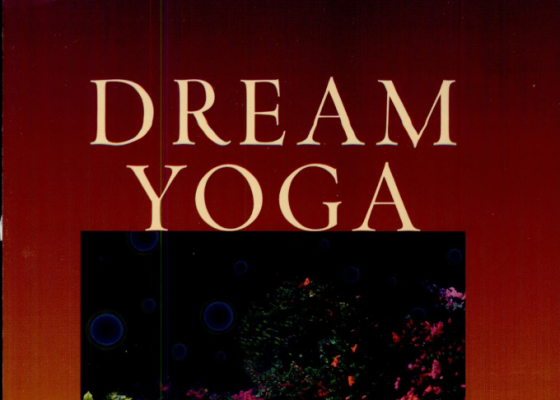 Dream Yoga and the Practices of Natural Light review