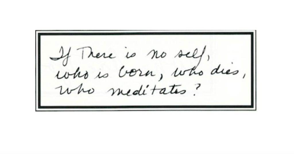 If There Is No Self, Who Is Born, Who Dies, Who Meditates?