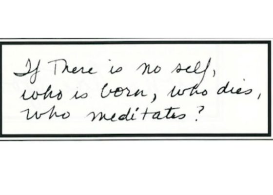 If There Is No Self, Who Is Born, Who Dies, Who Meditates?