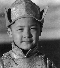From the movie Kundun: Actor Jamyang Kunga Tenzin playing the young Dalai Lama. Courtesy Mario Tucci.