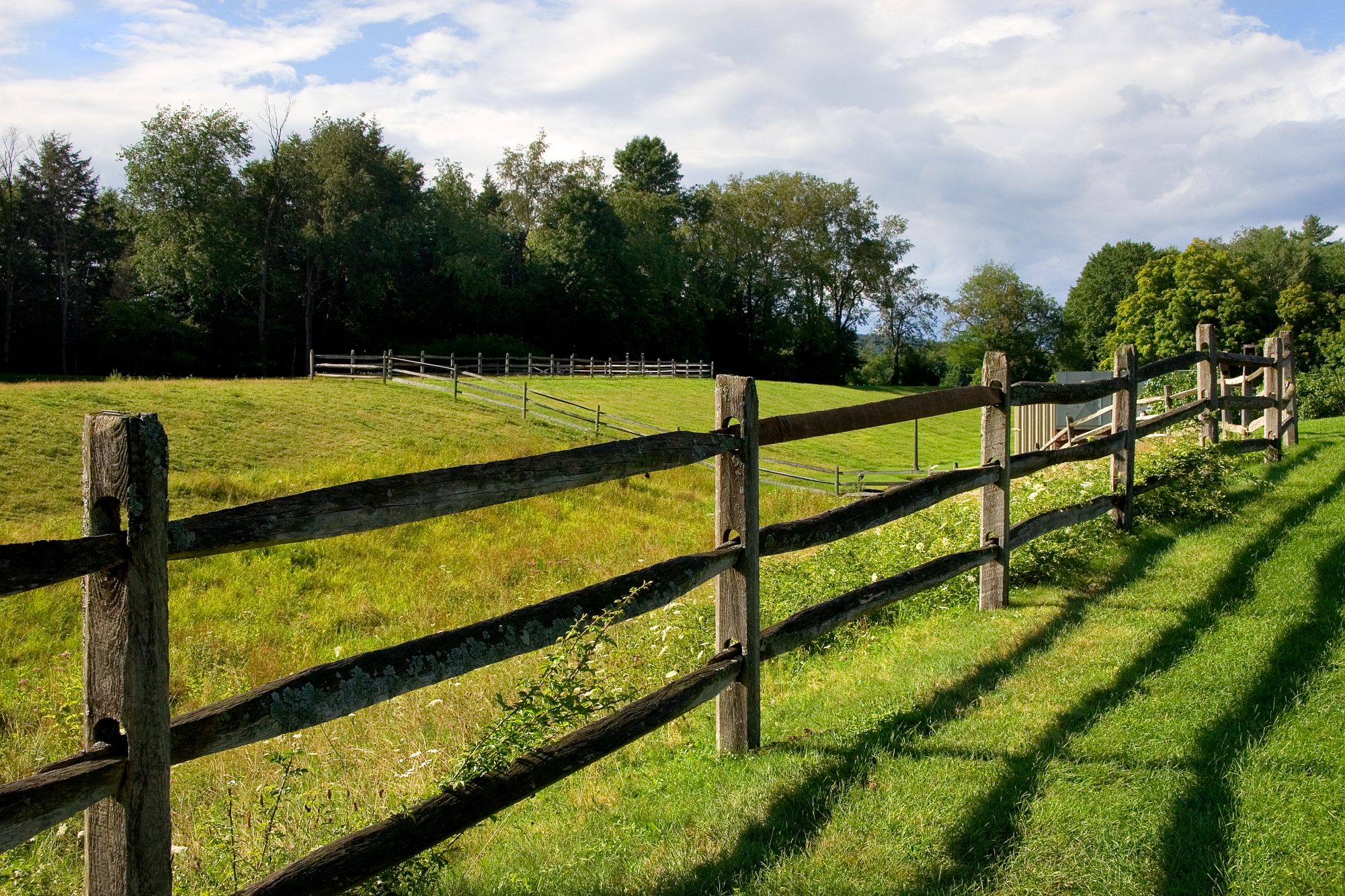 Sitting on the Fence - Tricycle: The Buddhist Review