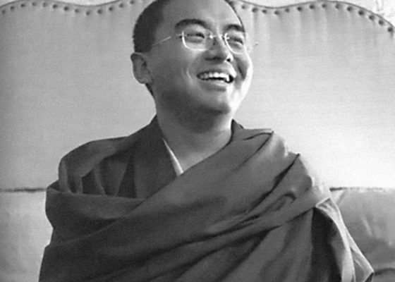 yongey mingyur rinpoche interview