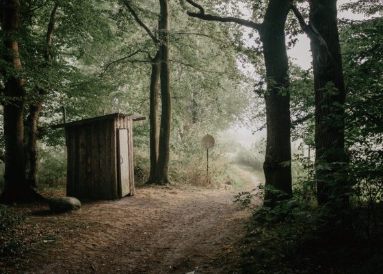 photo of composting toilets in the woods