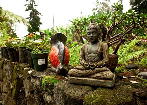 Buddha Image in Garden by Melissa Emmons