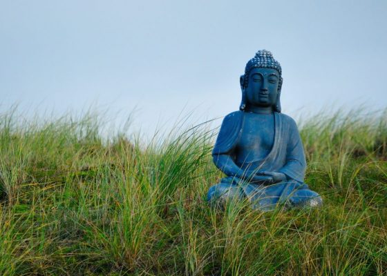 Buddha sits in a field