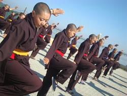 Kung-fu Nuns
