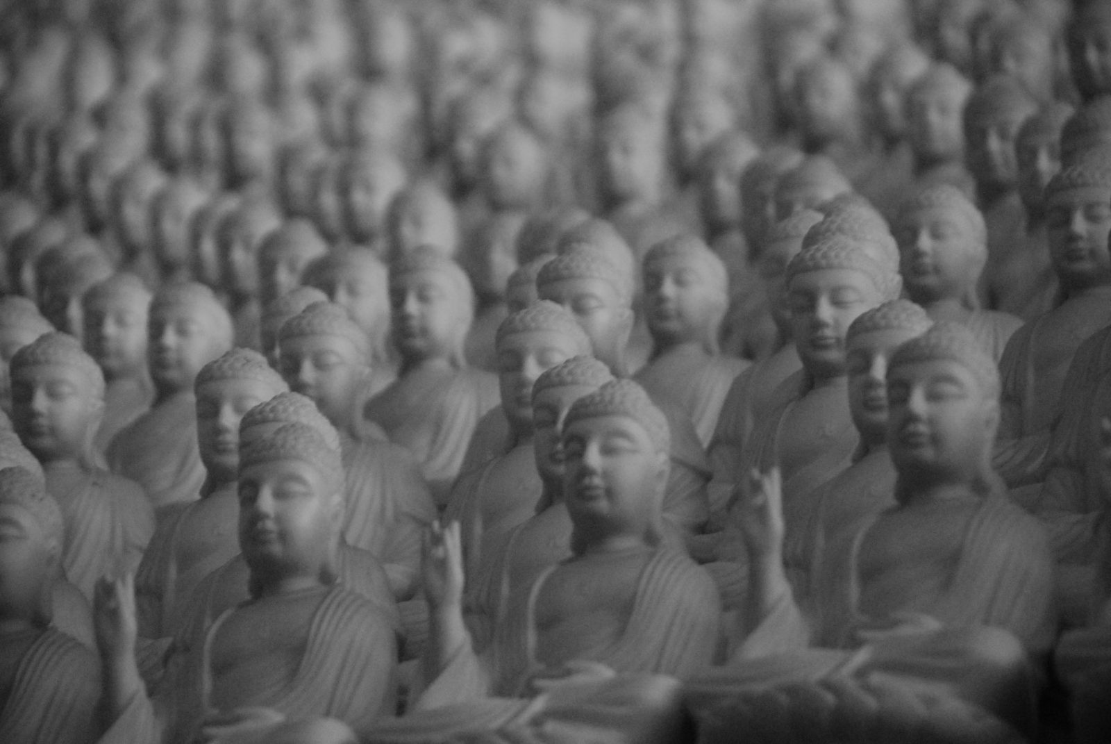 BuddhaFest Filmmaker Christina Lundberg on For the Benefit of All