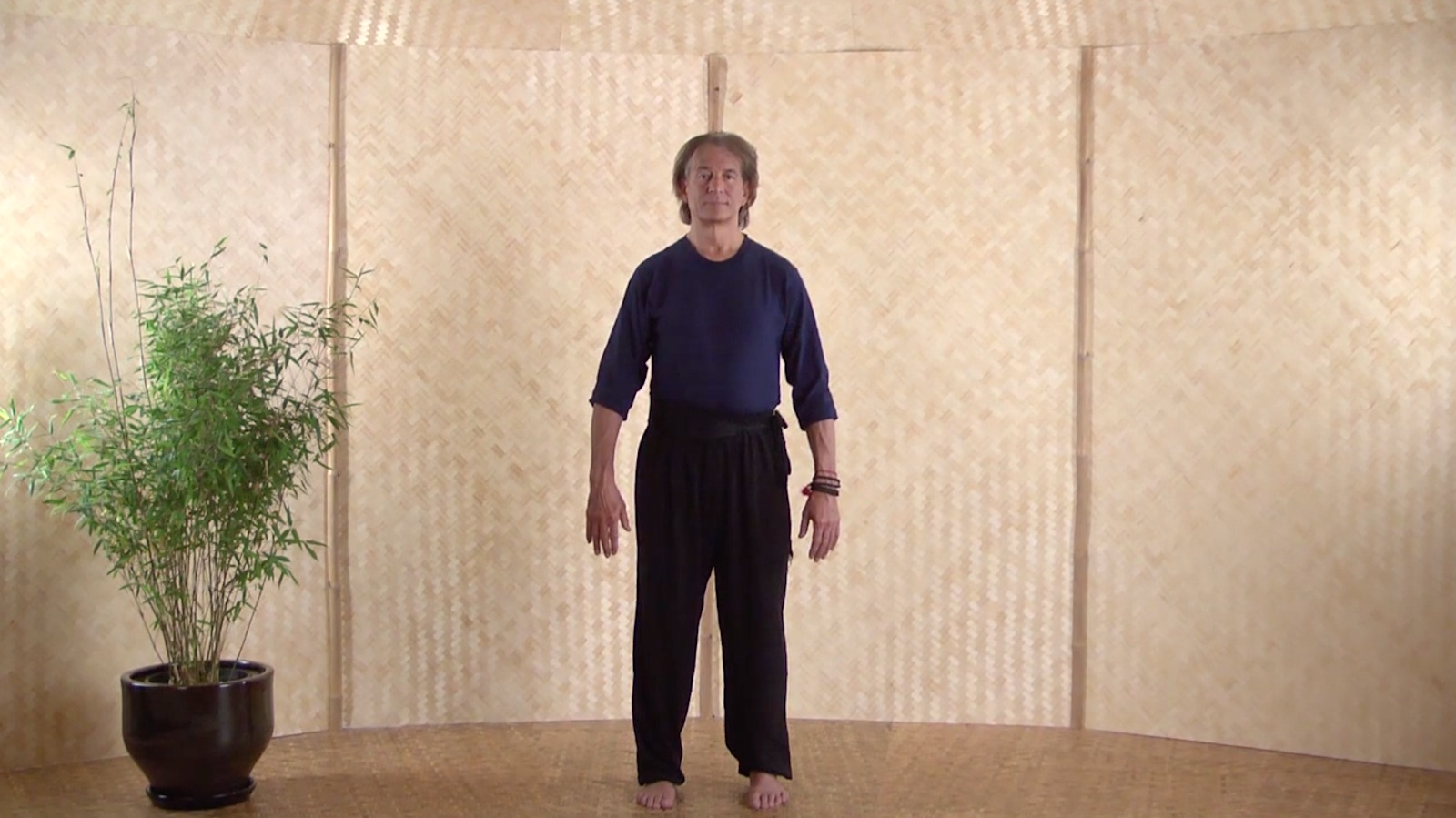 Qigong for Meditators: Standing Meditation - Tricycle: The Buddhist Review