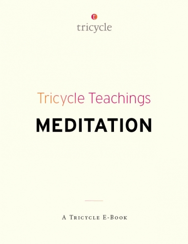 Tricycle's meditation e-book