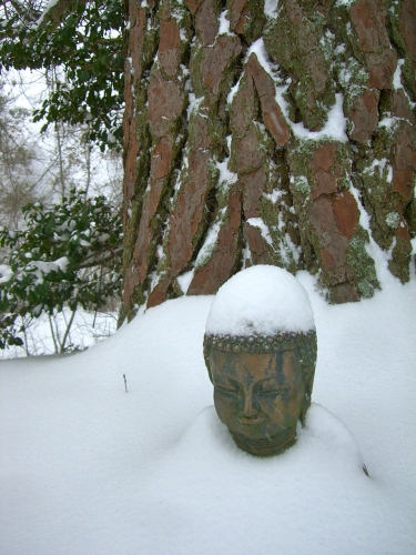 snow buddha naturalpatriot.org
