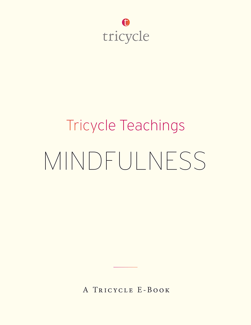 Tricycle Teachings Mindfulness Tricycle The Buddhist Review