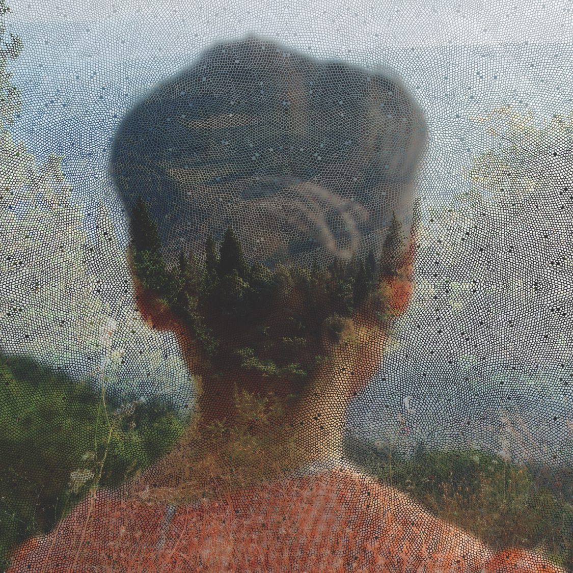 Molly’s Death - Tricycle: The Buddhist Review