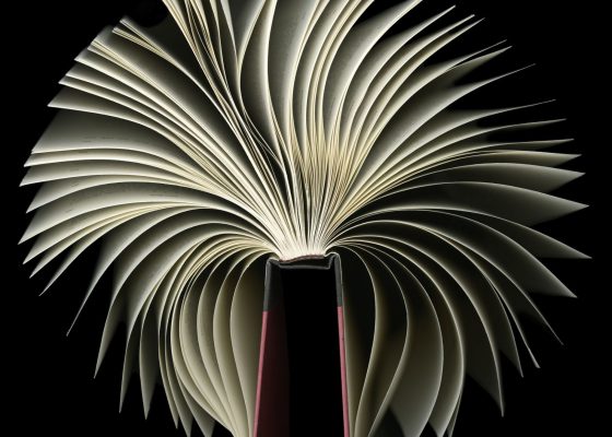 Book with pages fanned out, being wrong