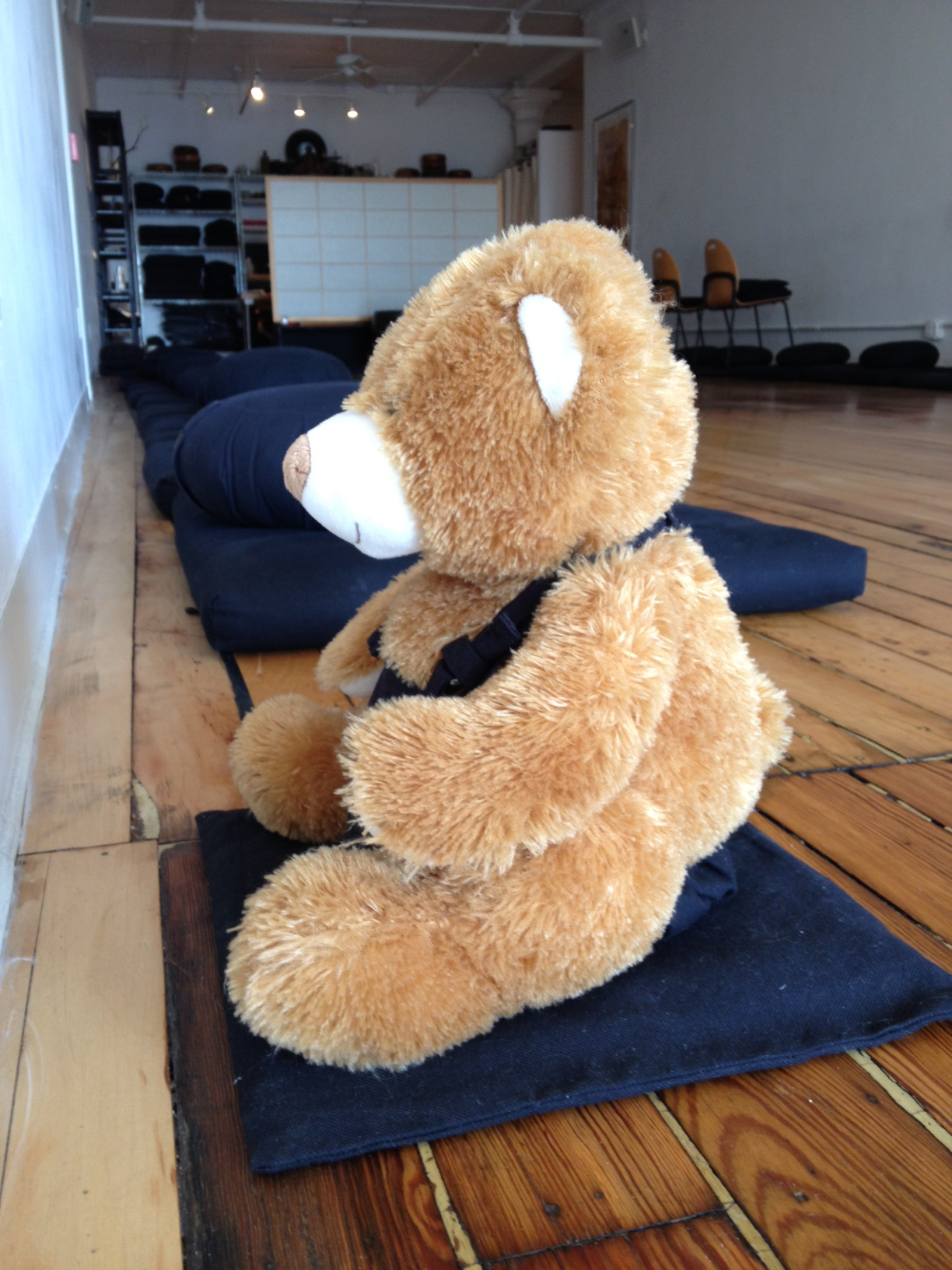 Bearly Zen Tricycle The Buddhist Review