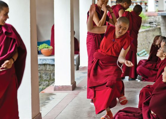 tibetan nuns project