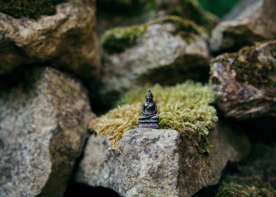 small buddha on a big rock