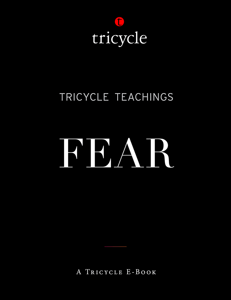 Tricycle Teachings Fear Tricycle The Buddhist Review
