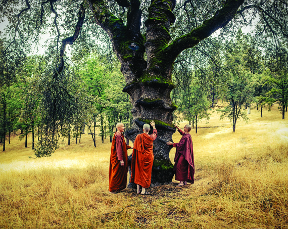 nuns who support full ordination at Aloka Vihara in California