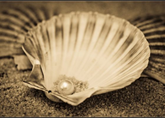Pearl in shell, suffering in buddhism