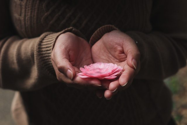 palms holding a small pink flower