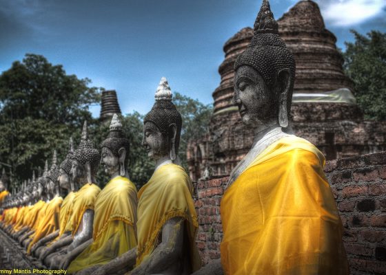 buddha statutes in orange robes