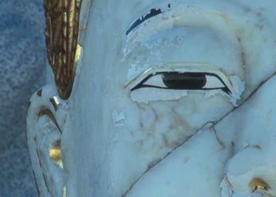 close up shot of buddha's eye