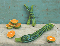 Zucchini & Tangerines, 2007, archival pigment prints, 9 x 12 inches. mindful eating