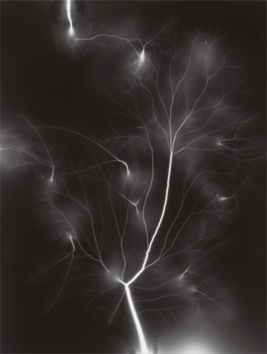 Photograph of a bolt of lightning; green meditation