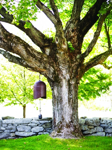  A bell hangs from an oak tree in the garden of the Insight Meditation Society in Barre, Massachusetts