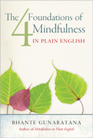 Mindfulness BIB