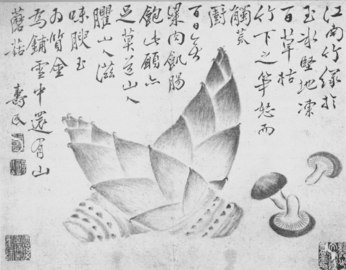 Bamboo Shoots and Mushrooms, Pien Shou-min, 1747, ink on paper.