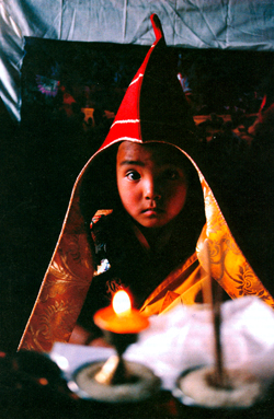 A young incarnate lama wearing the "pandita hat" emblematic of his rank participates in the butter lamp offering ceremony at Shechen Monastery, Nepal, © Matthieu Ricard