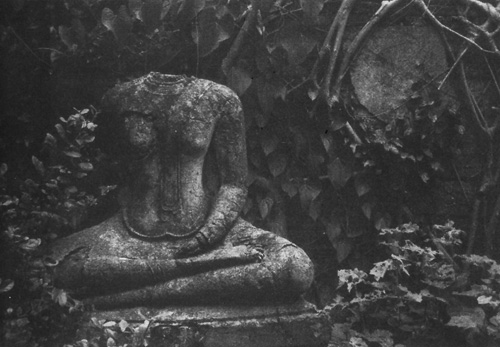 Abandoned faceless Buddha, Chris Rainier, Ayuthaya, Thailand. Courtesy Chris Rainier.