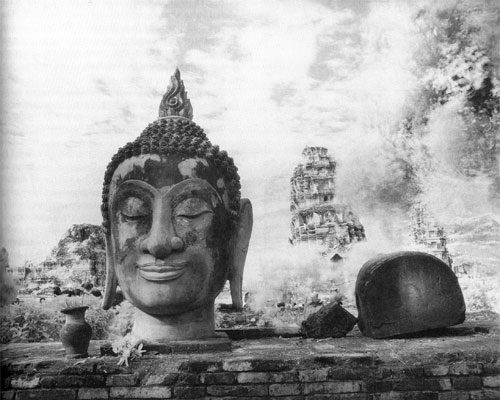 Buddha head, Ayuthaya, Thaland. Courtesy of Bobby Neel Adams; inner freedom buddhism