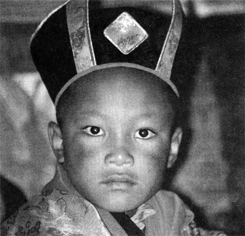 Ugyen Thinley, His Holiness the Seventeenth Gyalwa Karmapa. After months of controversy, the seven-year-old boy was installed as the reincarnated Karmapa in June. Courtesy of Tsurphu Foundation.