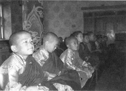 Image 1: Young monks at Gandan Monastery in Ulaanbaatar, Mongolia © Shyla Bauer