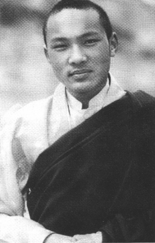 Ogyen Trinley Dorje, the 17th Karmapa, Courtesy of Snow Lion Publications