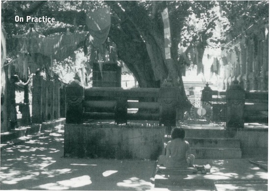 A woman meditating near the bodhi tree under which the Buddha gained enlightenment, Bodh Gaya, India.