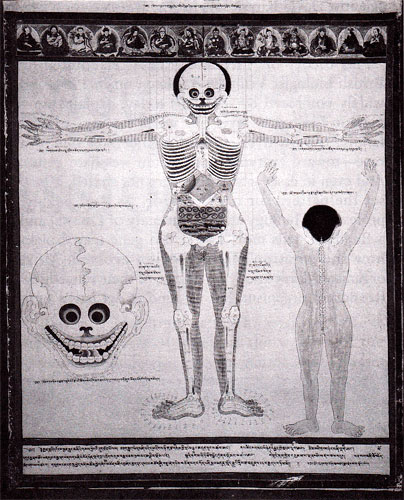 Anatomical charts, circa 1700, from Tibetan Medical Paintings, (Harry N. Abrams, 1992). Reprinted with permission from the publisher.
