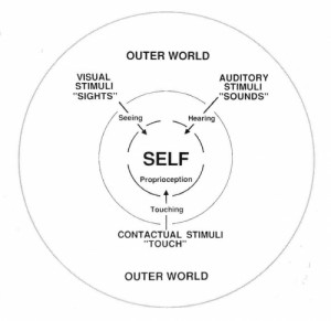 Image 2: The ordinary mental field. Stimuli enter from the outside world and from internal proprioceptive events. The blend seems to contribute to a central thinking "self."