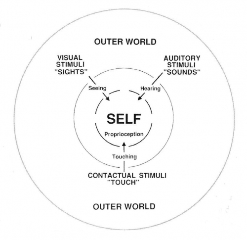 Image 2: The ordinary mental field. Stimuli enter from the outside world and from internal proprioceptive events. The blend seems to contribute to a central thinking "self."