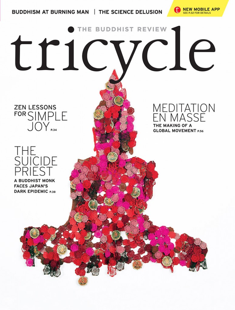 Spring 2014 Tricycle The Buddhist Review