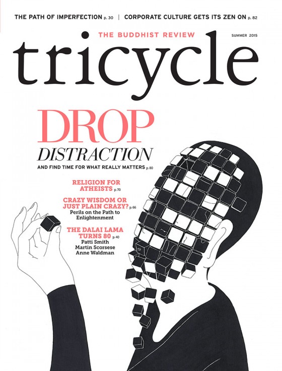 Summer 2015 Archives Tricycle The Buddhist Review